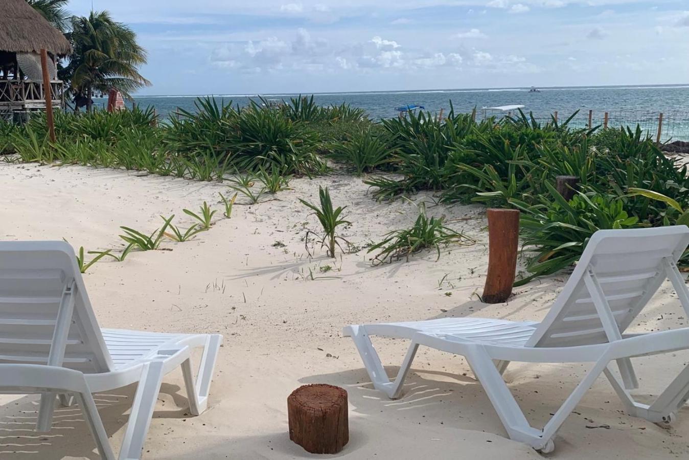 Casa Lucia Beachfront Пуерто Морелос Екстериор снимка